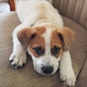 Meet your Posher, Maile